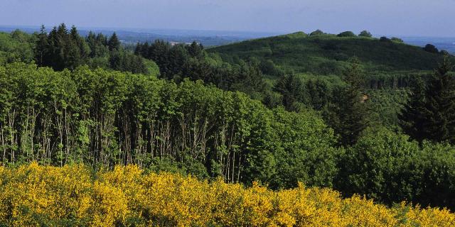 Grande boucle du Parc - Point de vue du Grand Puyconnieux