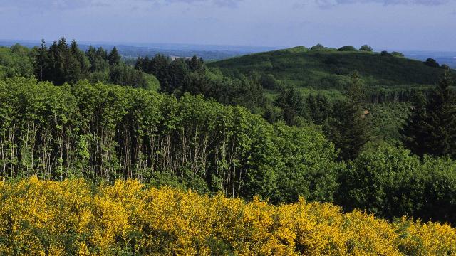 Grande boucle du Parc - Point de vue du Grand Puyconnieux