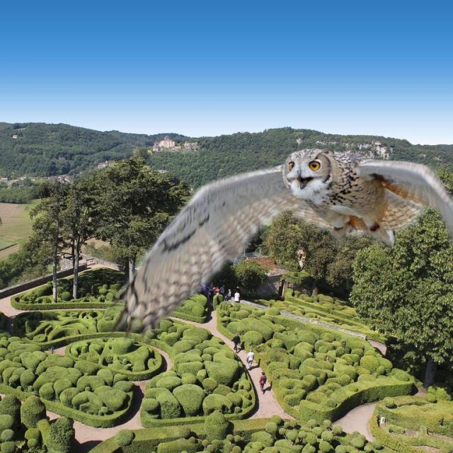 jardins de Marqueyssac à Vézac