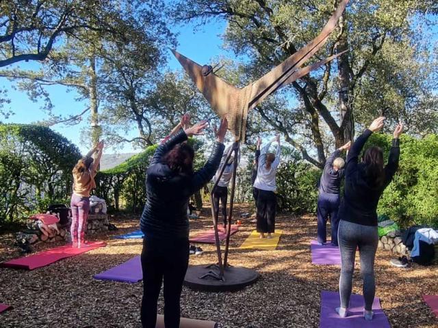 Yoga dans les Jardins de Marqueyssac à Vézac