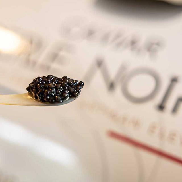 Caviar Perle Noire - Les Eyzies