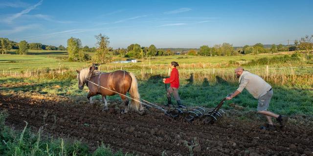 Ferme de Tourenne à Saint Médard d'Excideuil