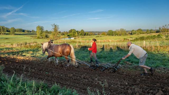 Ferme de Tourenne à Saint Médard d'Excideuil