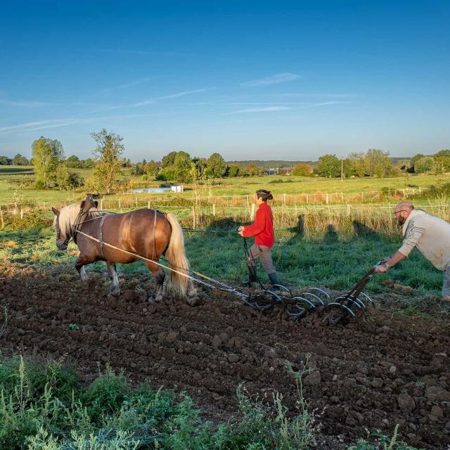 Ferme de Tourenne à Saint Médard d'Excideuil