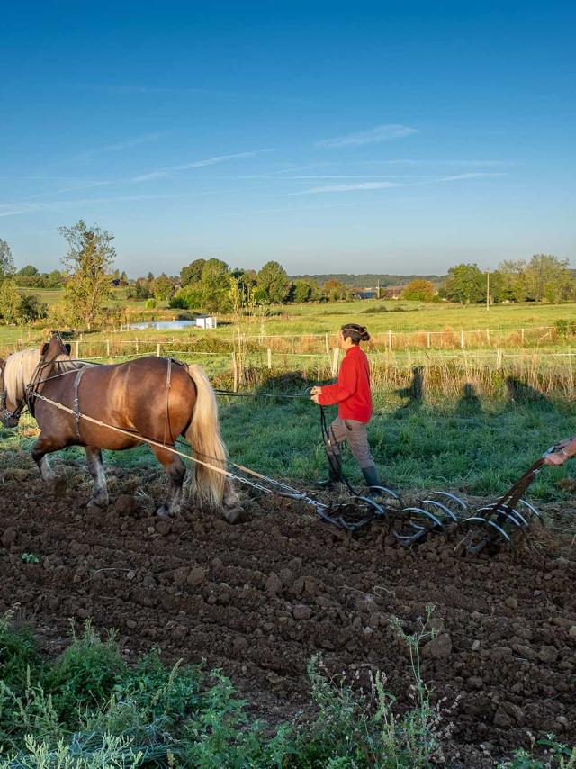 Ferme de Tourenne à Saint Médard d'Excideuil