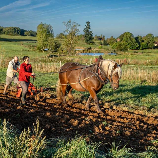 Ferme de Tourenne à Saint Médard d'Excideuil