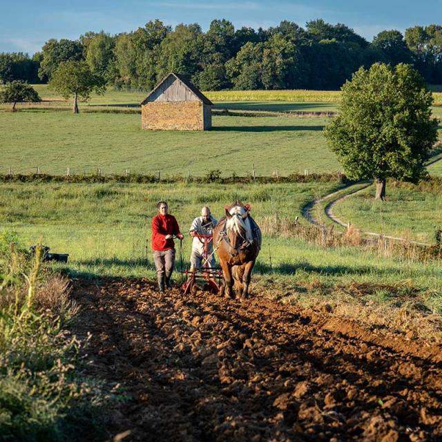 Ferme de Tourenne à Saint Médard d'Excideuil