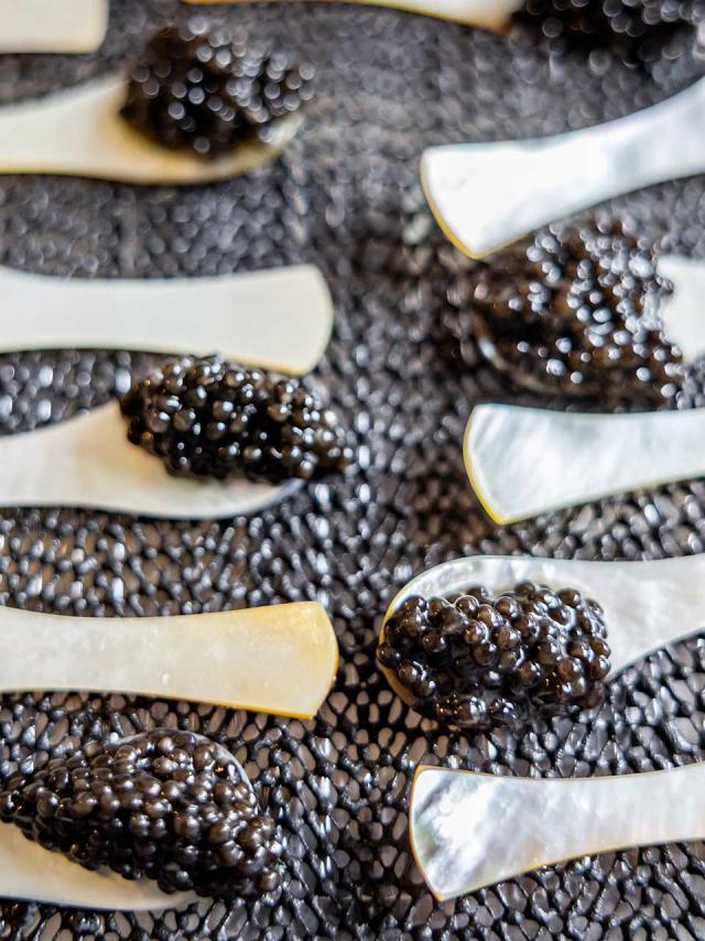 Caviar Perle Noire - Les Eyzies