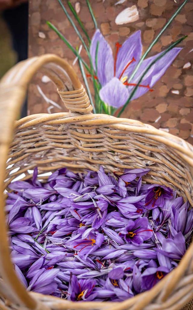 Les jardins gourmands de la Tourouge à Coulaures