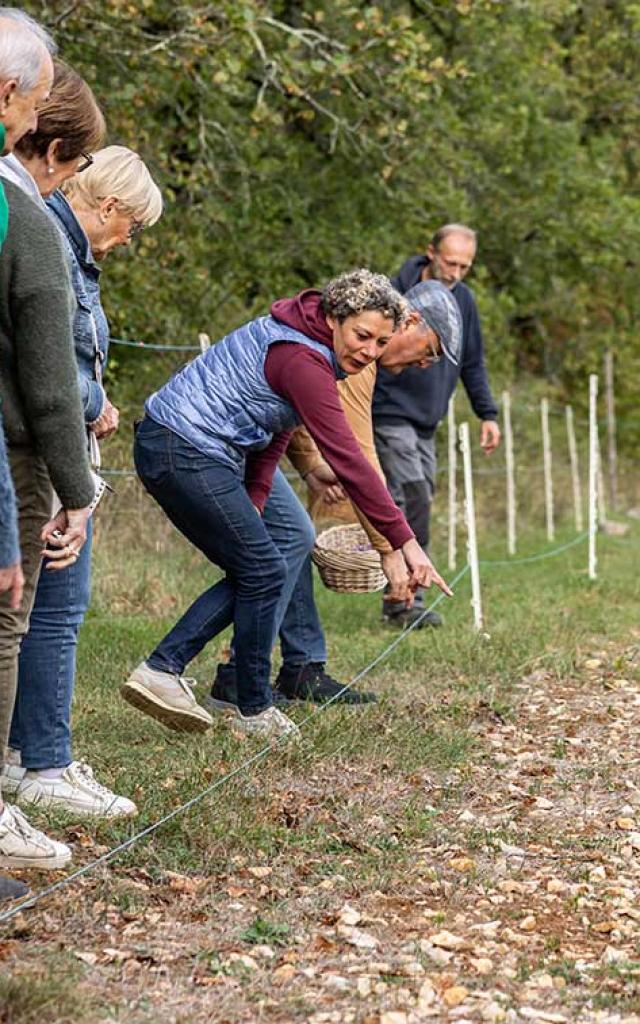 Les jardins gourmands de la Tourouge à Coulaures