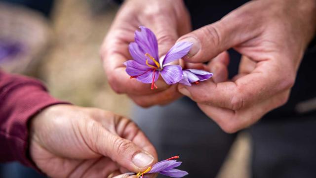 Les jardins gourmands de la Tourouge à Coulaures