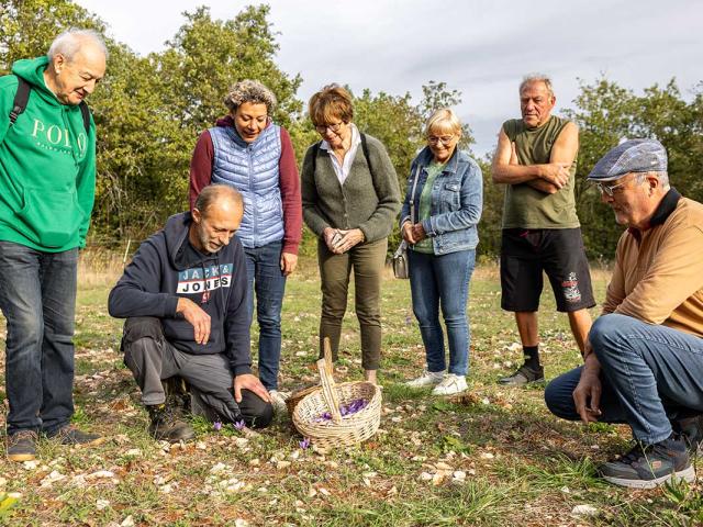 Les jardins gourmands de la Tourouge à Coulaures