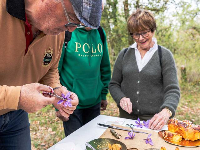 Les jardins gourmands de la Tourouge à Coulaures