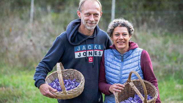 Les jardins gourmands de la Tourouge à Coulaures