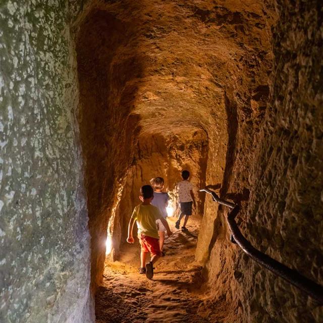 Grottes du Roc de Cazelle aux Eyzies