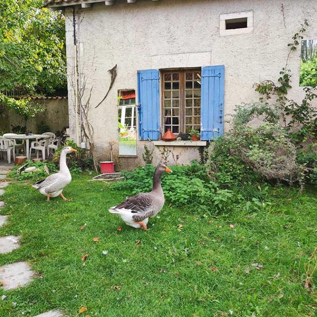 Atelier Au bout du chemin à Bouteilles Saint-Sébastien