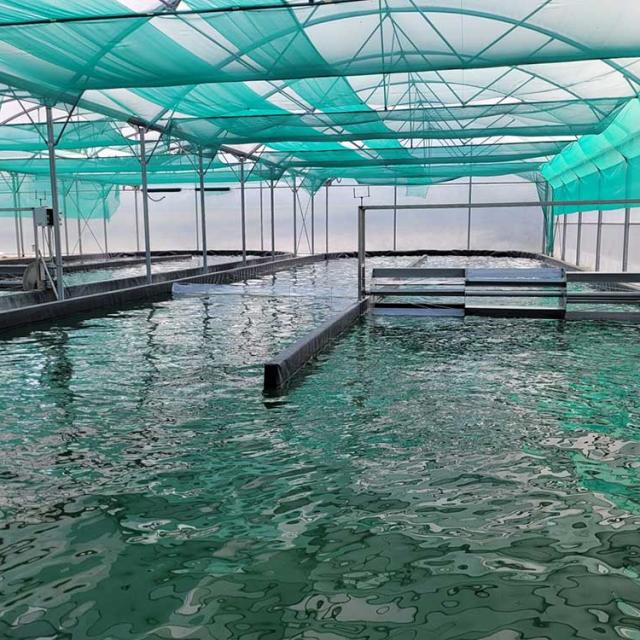 Ferme Spiruline Vallée de l'Isle à Razac sur l'Isle