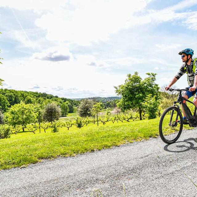 VTT dans le Ribéracois