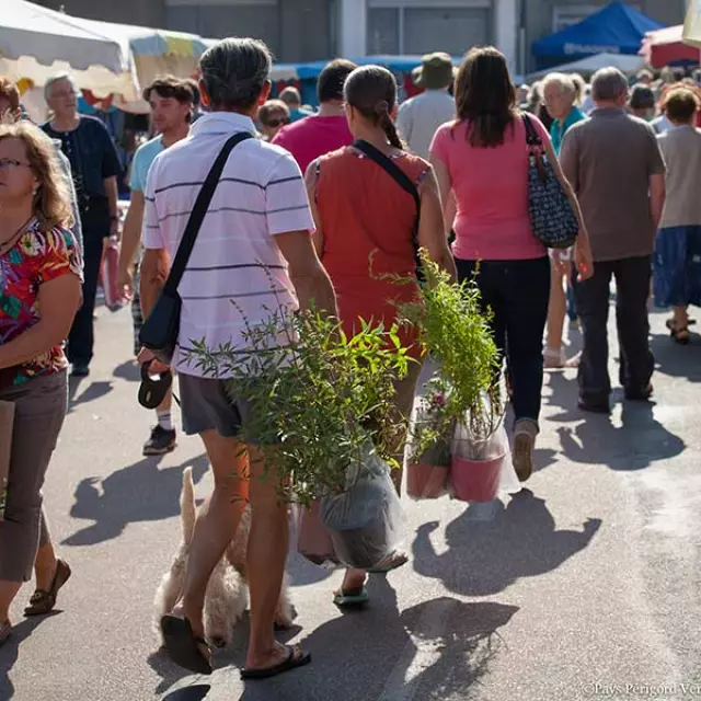 Marché Piégut Pluviers