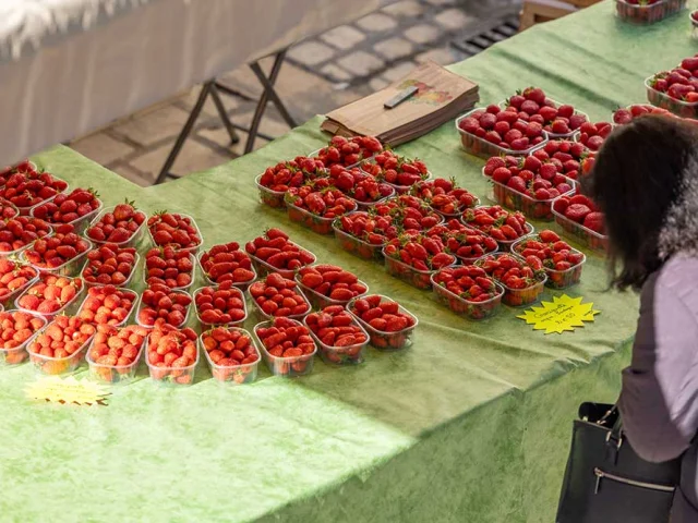 Marché des producteurs de Périgueux. Fraises du Périgord