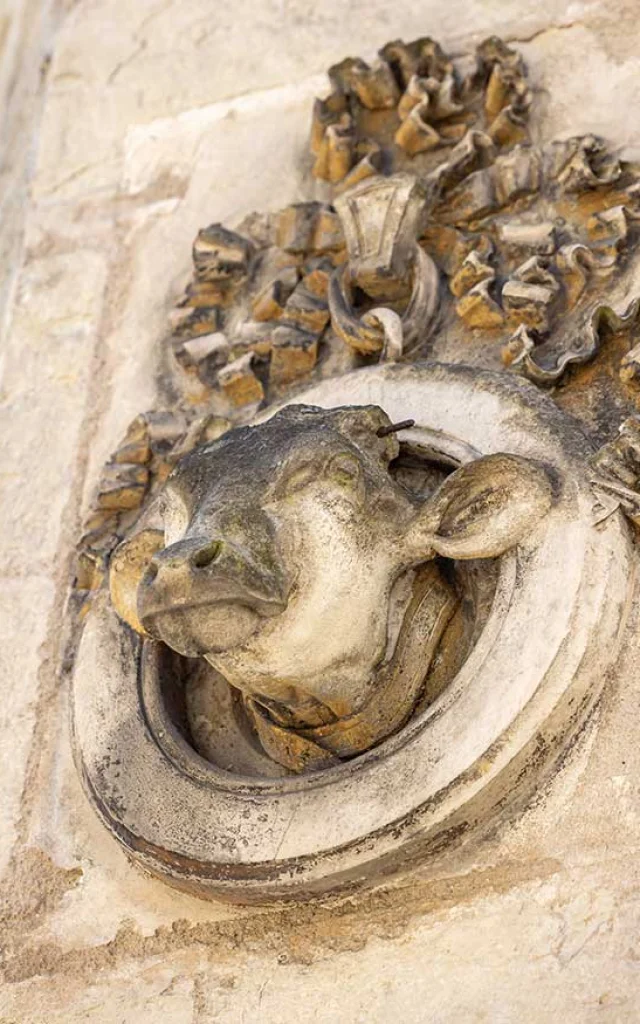 Visite guidée insolite à Périgueux - Le Bestiaire des Animaux Fantastiques