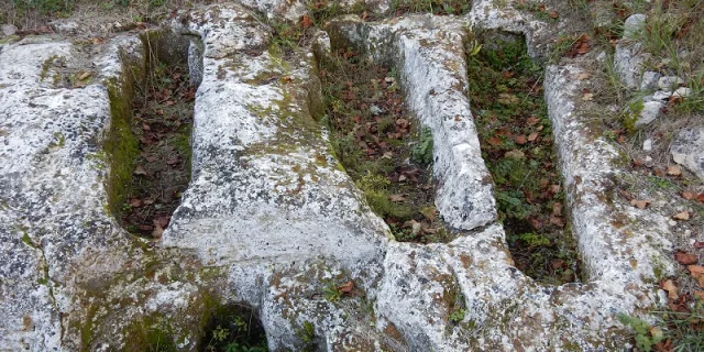 Cluzeaux De Saint Pardoux De Mareuil 5