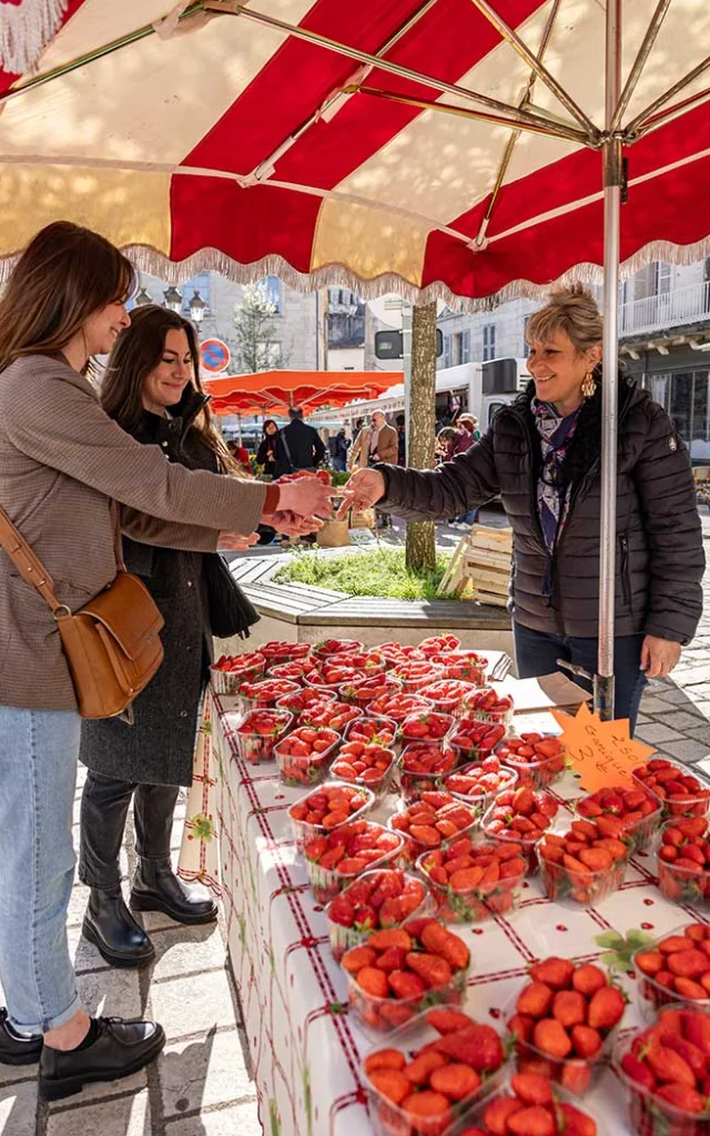 Marché des producteurs de Périgueux