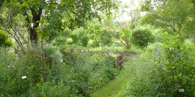 Jardin Botanique D Alaije 3 1