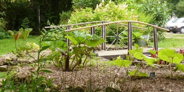 Jardin Botanique D Alaije Tourbiere