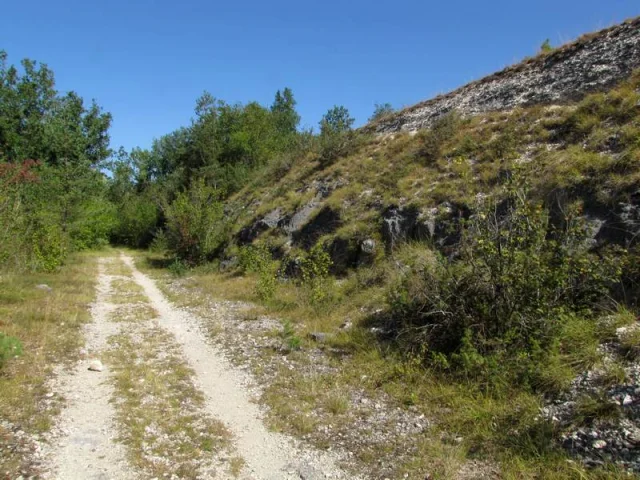 Au Pied Du Plateau Le Sentier Passe Dans La Fraicheur Des Arbres