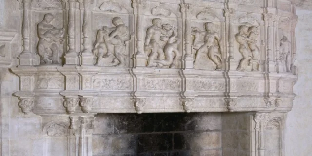 Chateau De Puyguilhem Motif Cheminee