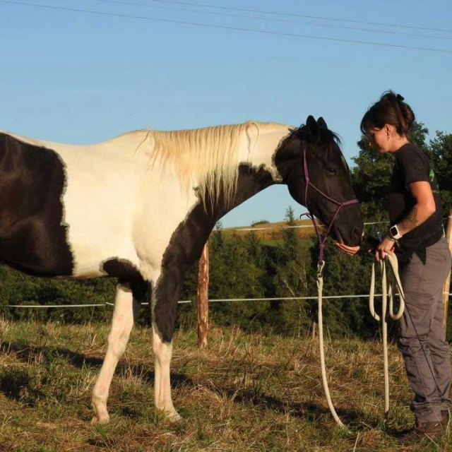 Ferme Equi'libre à Angoisse