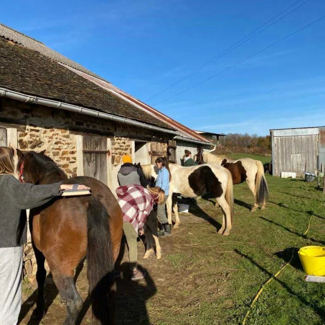 Ferme Equi'libre à Angoisse