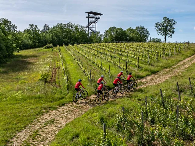 Balade en VTT dans le vignoble de Domme