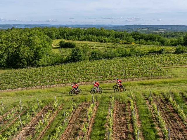 Balade en VTT dans le vignoble de Domme