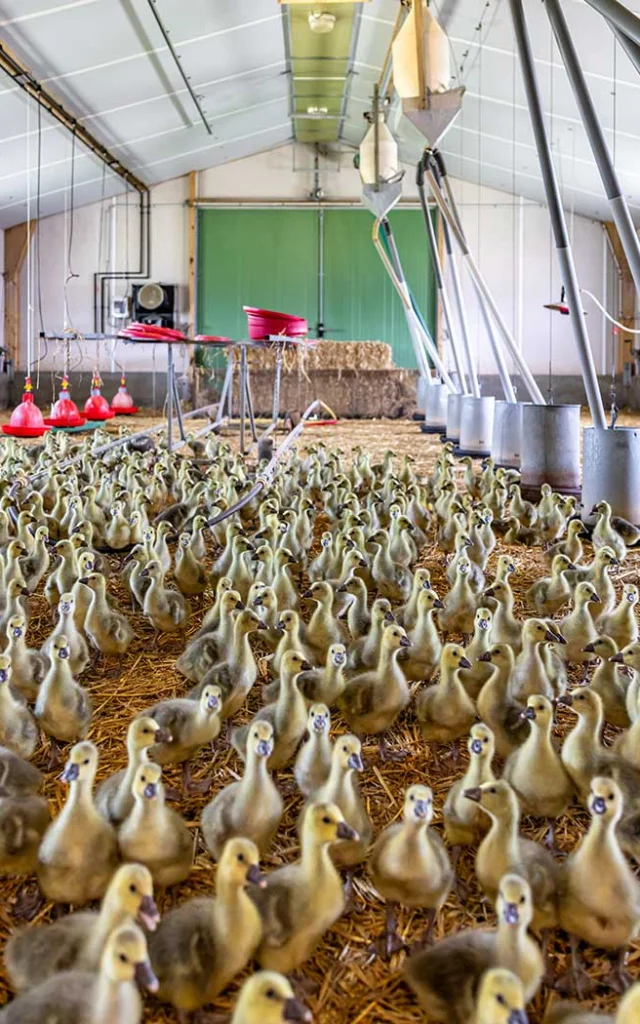 Ferme Auberge La Garrigue Haute à Prats de Carlux