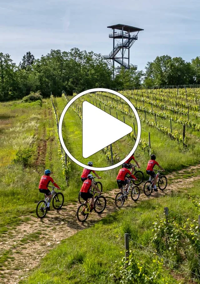 Balade en VTT dans le vignoble de Domme