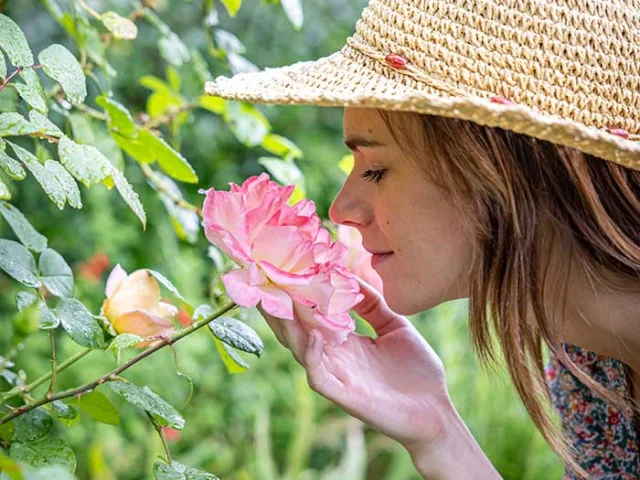 Les Jardins de Sardy à Vélines