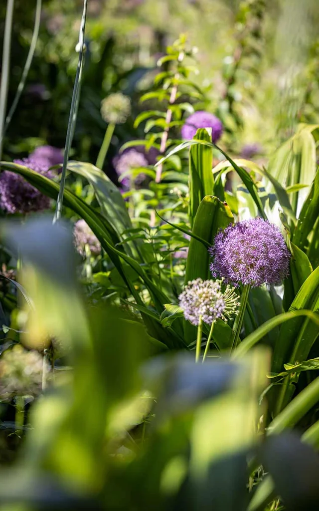 Jardins de Cadiot à Carlux