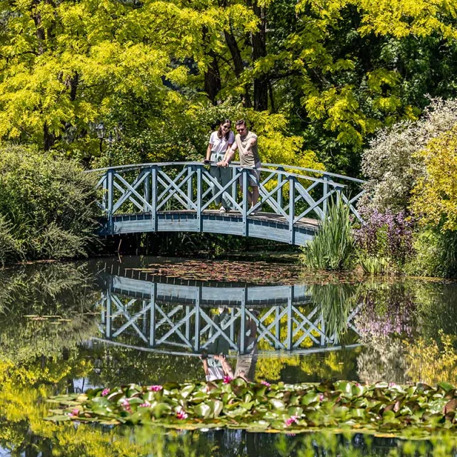 Jardins d'eau à Carsac-Aillac