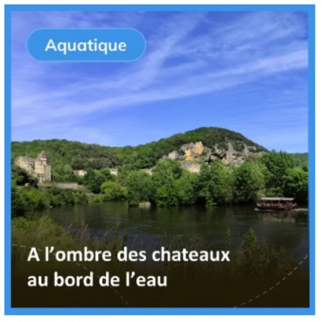 dorie aquatique