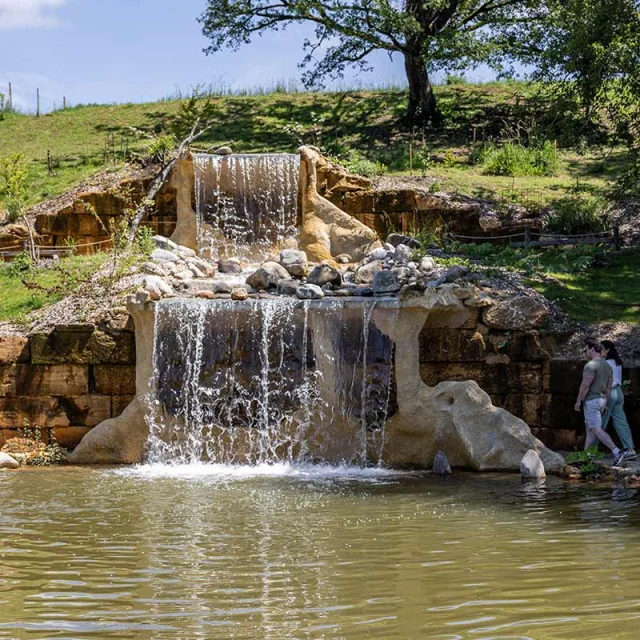 Jardins d'eau à Carsac-Aillac