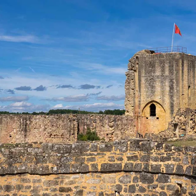 Château de Carlux