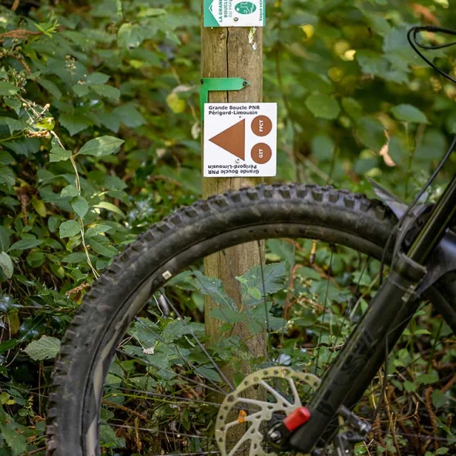 Randonnée à vélo dans le Parc naturel régional Périgord Limousin