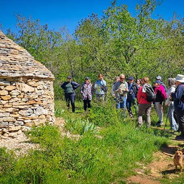 Randonnée sur le Causse de Savignac