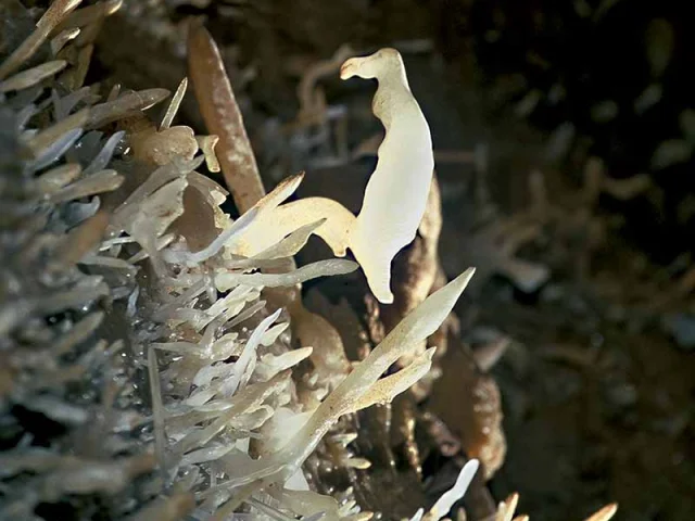 Grottes de Maxange au Buisson de Cadouin