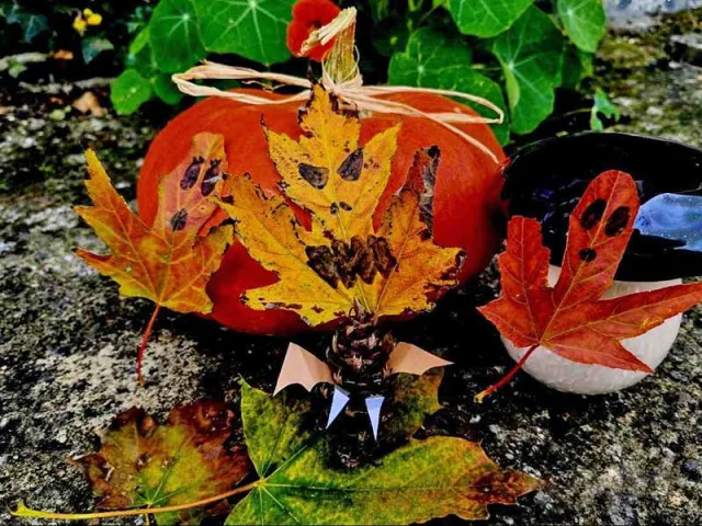 Atelier Land Art de la Frousse aux Jardins d'Eyrignac