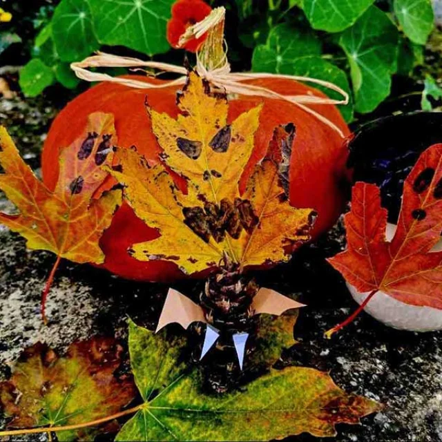 Atelier Land Art de la Frousse aux Jardins d'Eyrignac