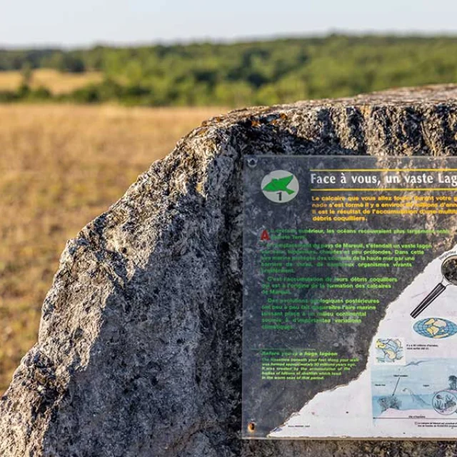 Randonnée sur le plateau d'Argentine à La Rochebeaucourt et Argentine