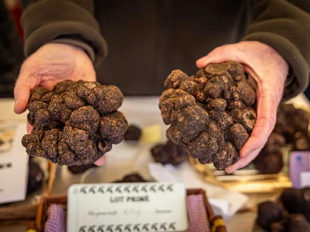 Fête de la Truffe à Sarlat